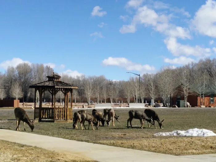 Palisades Senior RV Park Picture 4