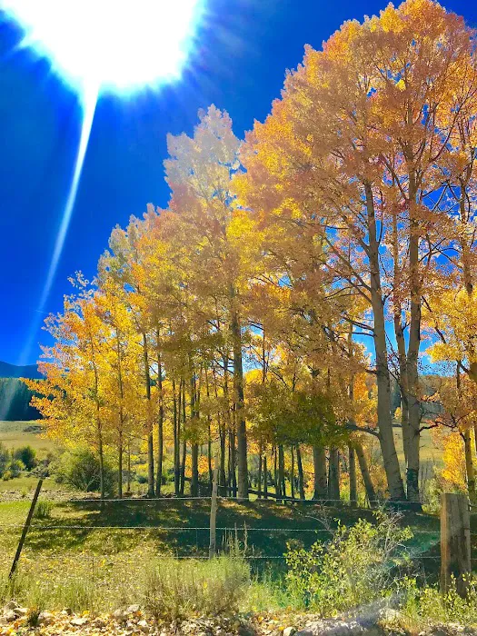 Mountain Time RV Park and Cabins (Formerly Tall Texan) Picture 7