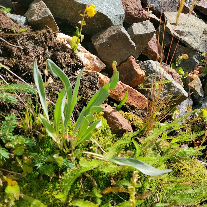 Red Mountain Motel & RV Park Picture 10