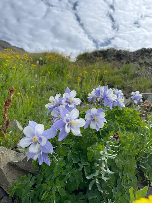 Silverton Lakes RV Park and Cabins Picture 9