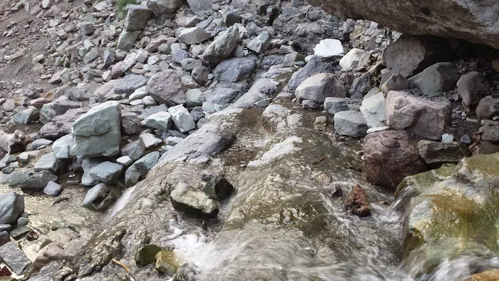 4J+1+1 RV Park Picture 3