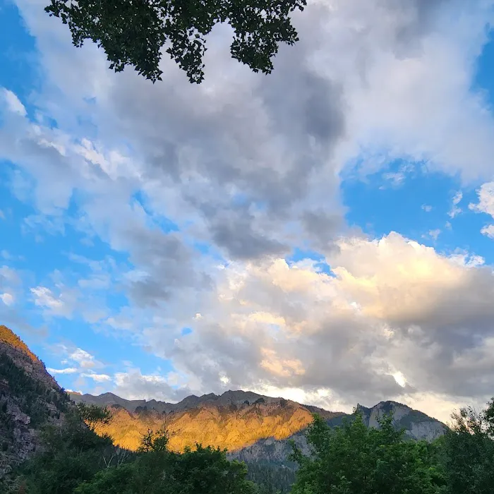 4J+1+1 RV Park Picture 4