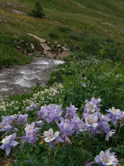 River Fork RV Park and Campground Picture 3