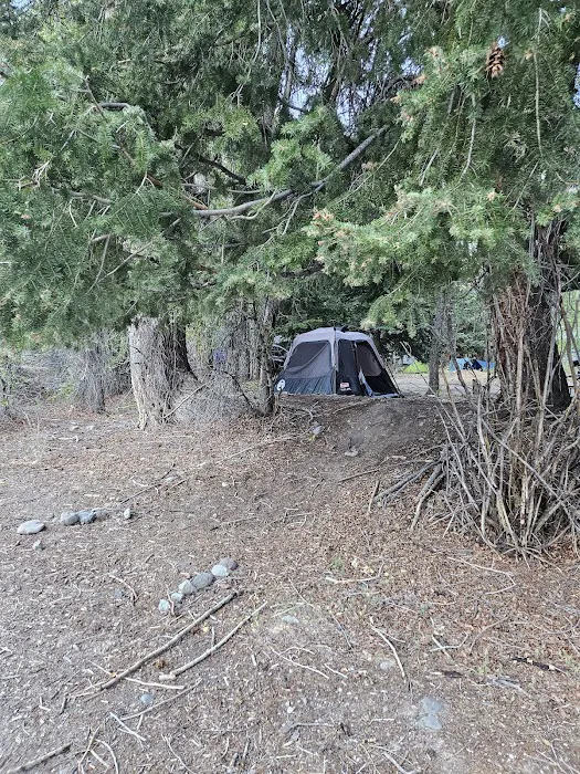 River Fork RV Park and Campground Picture 5