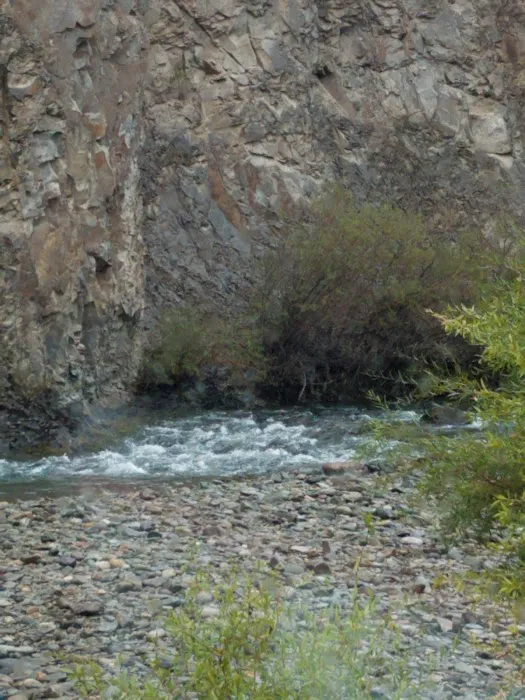 River Fork RV Park and Campground Picture 6