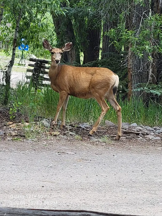 River Fork RV Park and Campground Picture 7