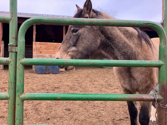 Gordon Creek RV Park Picture 7