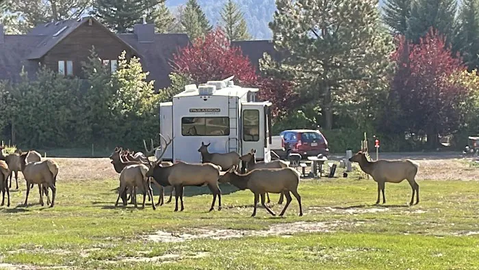 Elk Meadow Lodge and RV Resort Picture 1