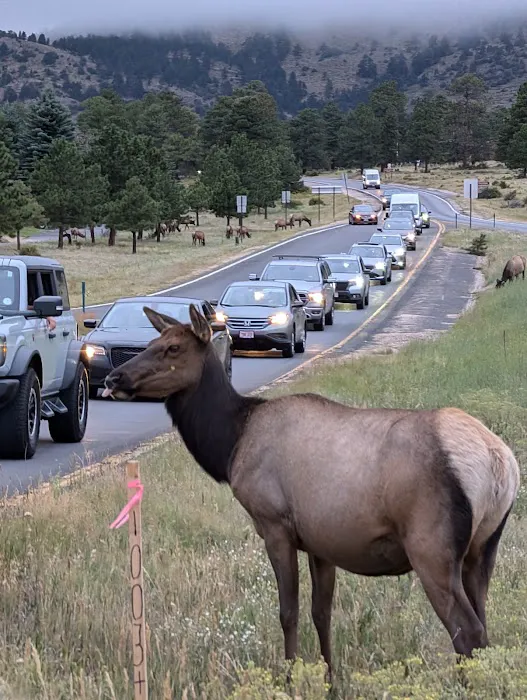 Manor RV Park Picture 4