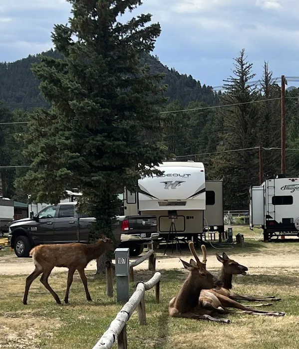 Manor RV Park Picture 2