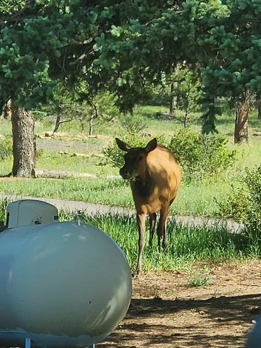 Manor RV Park Picture 9