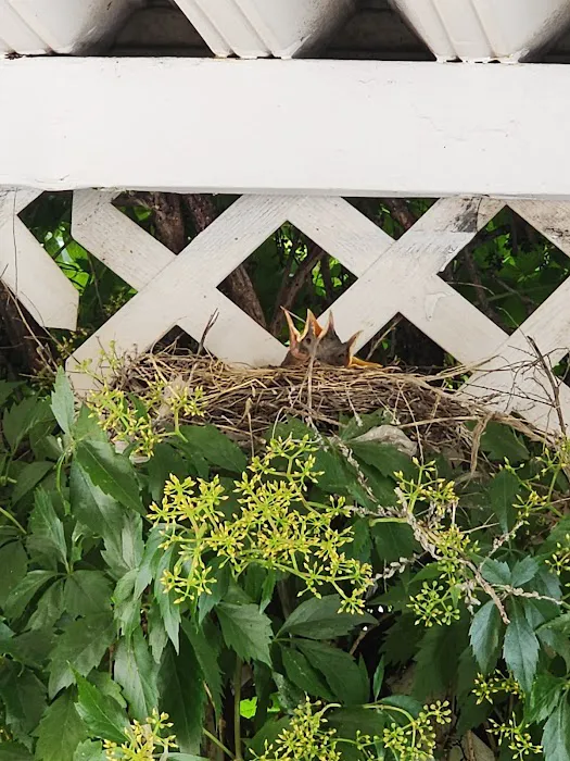 Blue Spruce Mobile Home Park Picture 8