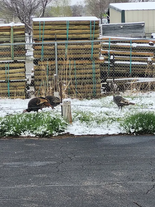 Blue Spruce Mobile Home Park Picture 9