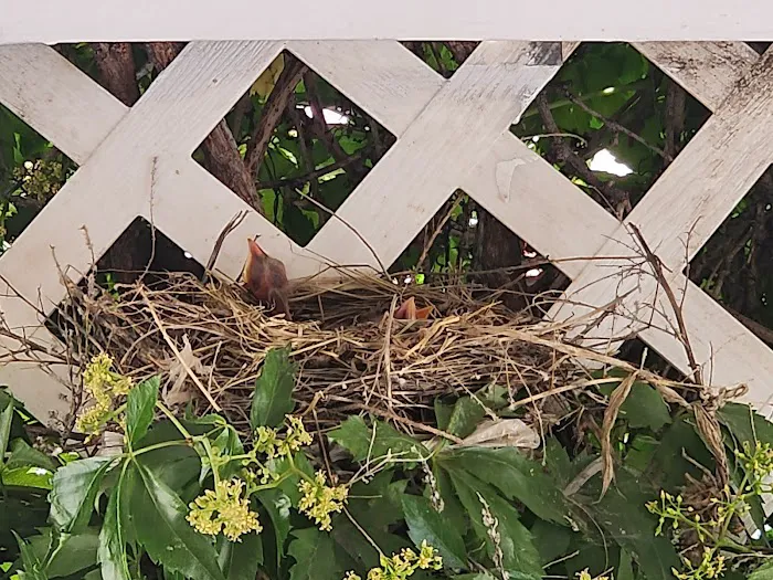 Blue Spruce Mobile Home Park Picture 5