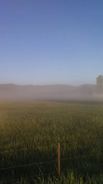 North Star mobile homes Picture 1