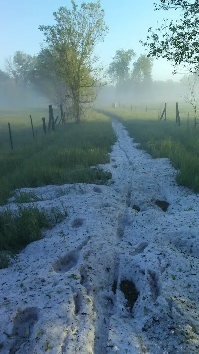 North Star mobile homes Picture 4