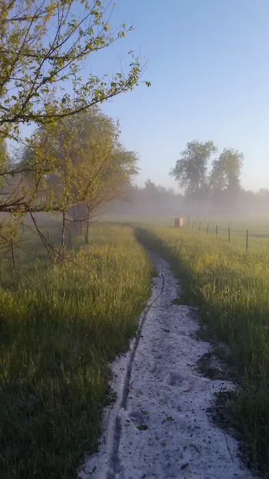 North Star mobile homes Picture 5