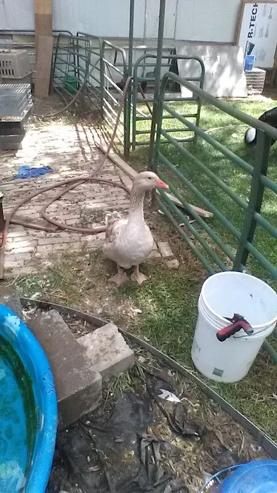 Terry Lake Mobile Home⁶ Park Picture 7