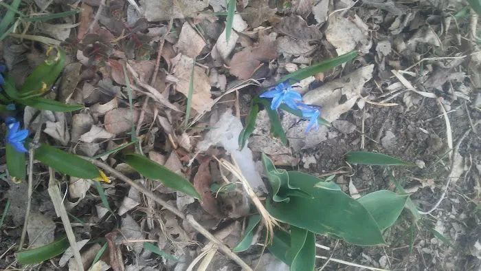 Terry Lake Mobile Home⁶ Park Picture 8