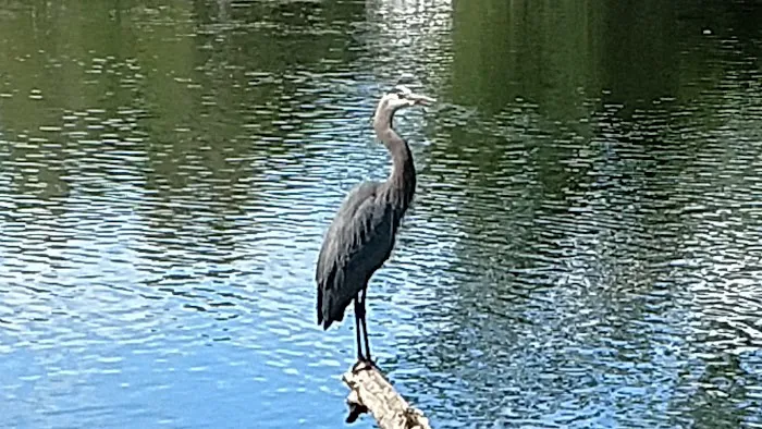 Mobile Home Park Fort Collins Colorado Picture 2