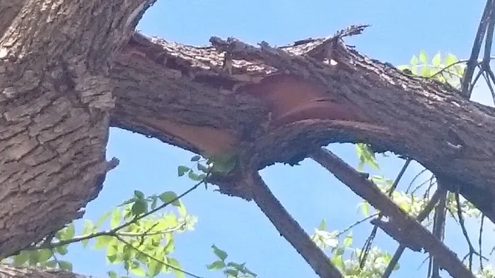 Mobile Home Park Fort Collins Colorado Picture 1