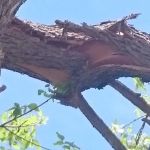 Mobile Home Park Fort Collins Colorado