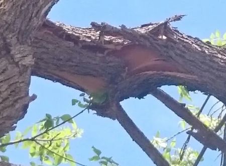 Mobile Home Park Fort Collins Colorado