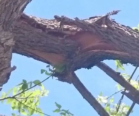 Mobile Home Park Fort Collins Colorado