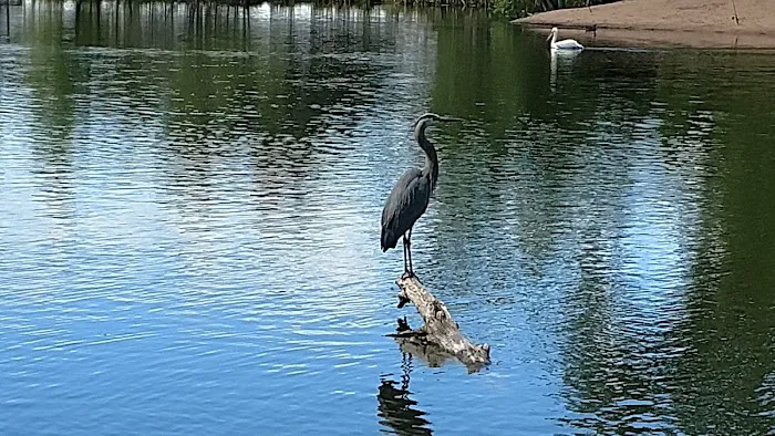 Mobile Home Park Fort Collins Colorado Picture 3
