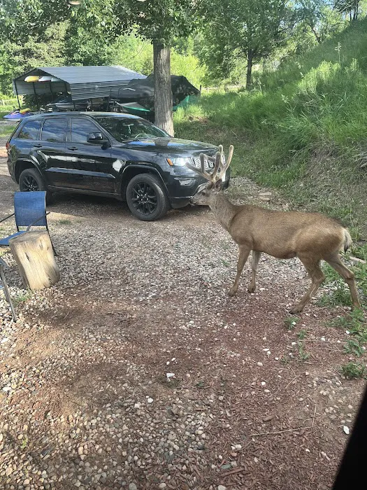Horsetooth Inn and R.V. Park Picture 7