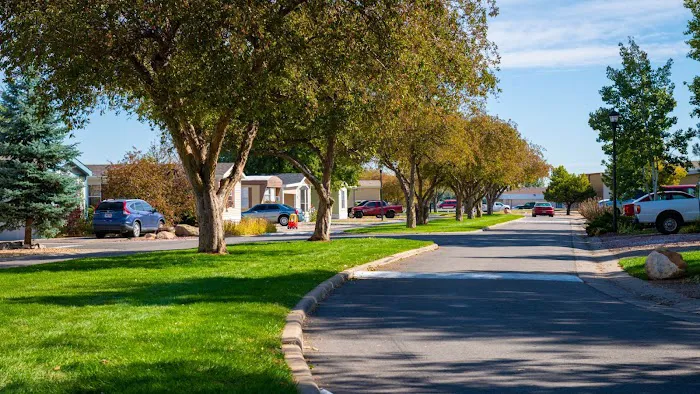 Timber Ridge Picture 10