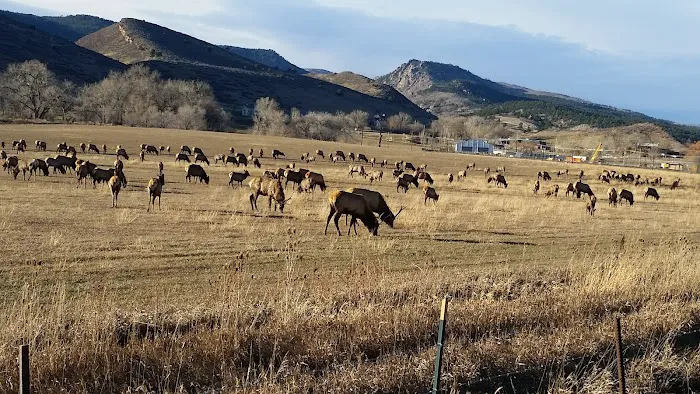 Carter Valley Campground Picture 2