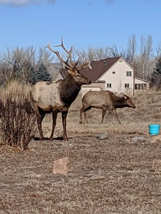 Fireside Cabins and RV Park Picture 3