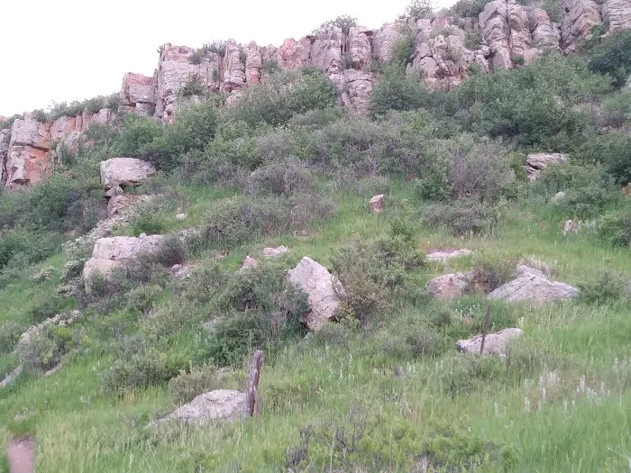 Mountain View Mobile Park Picture 3