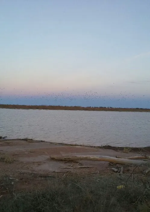 Mountain View Mobile Park Picture 4