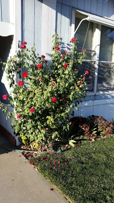 Sylmar Mobile Home Park Picture 1