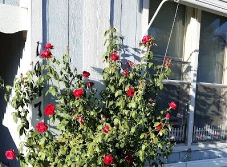 Sylmar Mobile Home Park