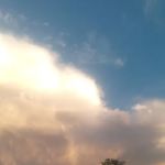 Paradise Village Mobile Home