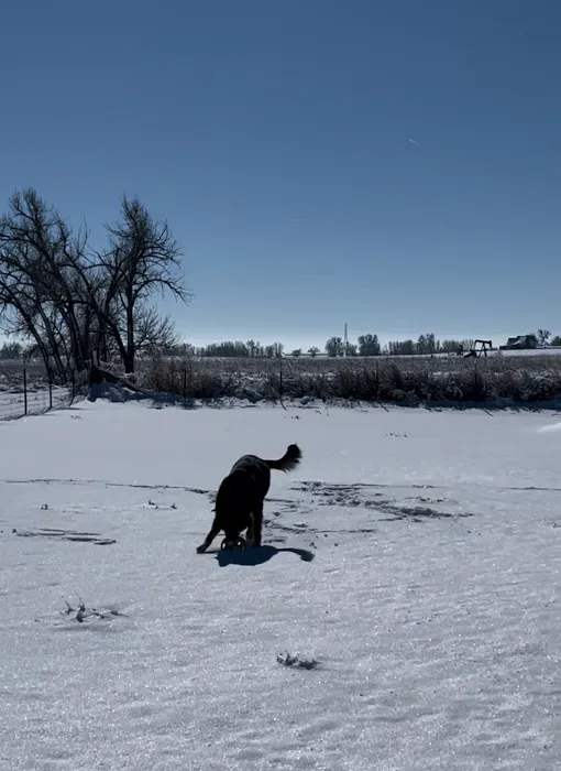 B Bold Ranch RV Park & Storage Picture 6