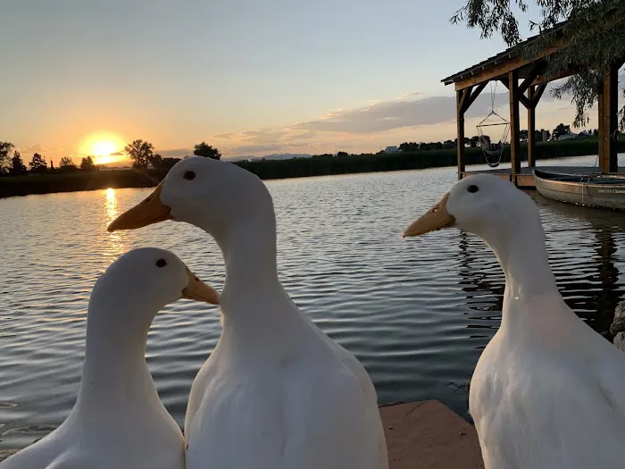 Gopher Gulch RV & Campground Picture 6
