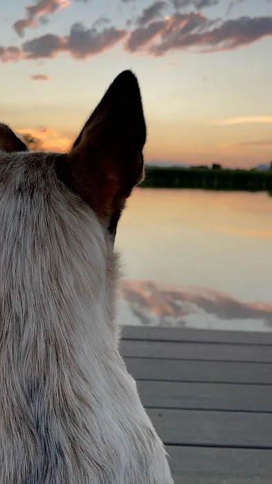Gopher Gulch RV & Campground Picture 7