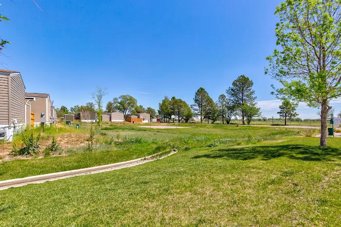 Bella Vista Picture 9