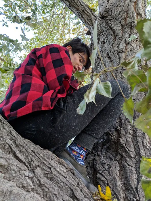 Holiday Village Picture 7