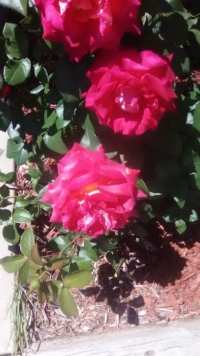 Mobile Manor LLC Picture 8