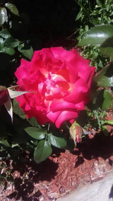 Mobile Manor LLC Picture 7