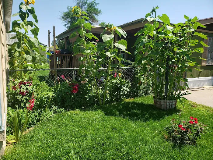 Woodlands East Picture 7