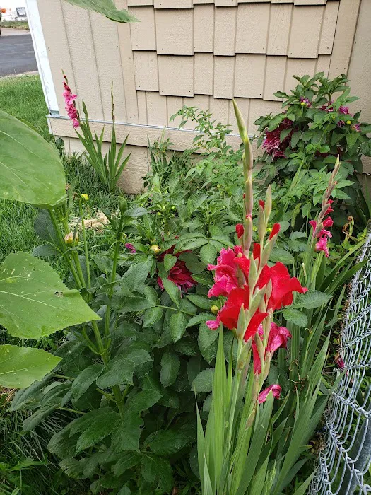 Woodlands East Picture 4