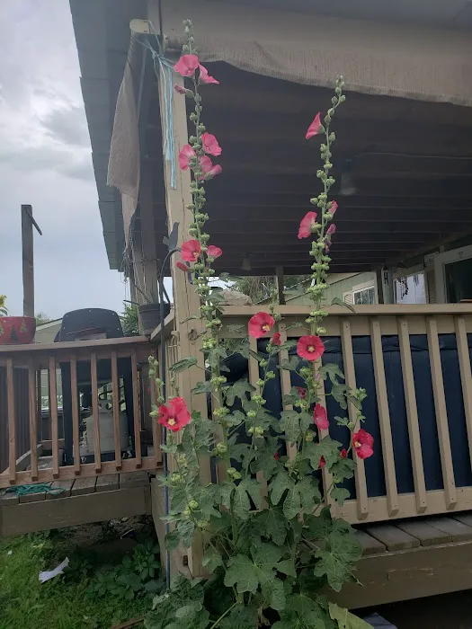 Woodlands East Picture 2