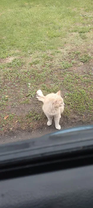 Woodlands East Picture 8