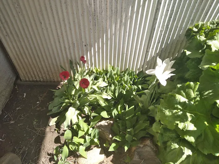 Meadow Village Mobile Home Park Picture 2